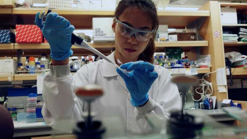 Coronavirus vaccine: AstraZeneca pauses COVID-19 vaccine trial