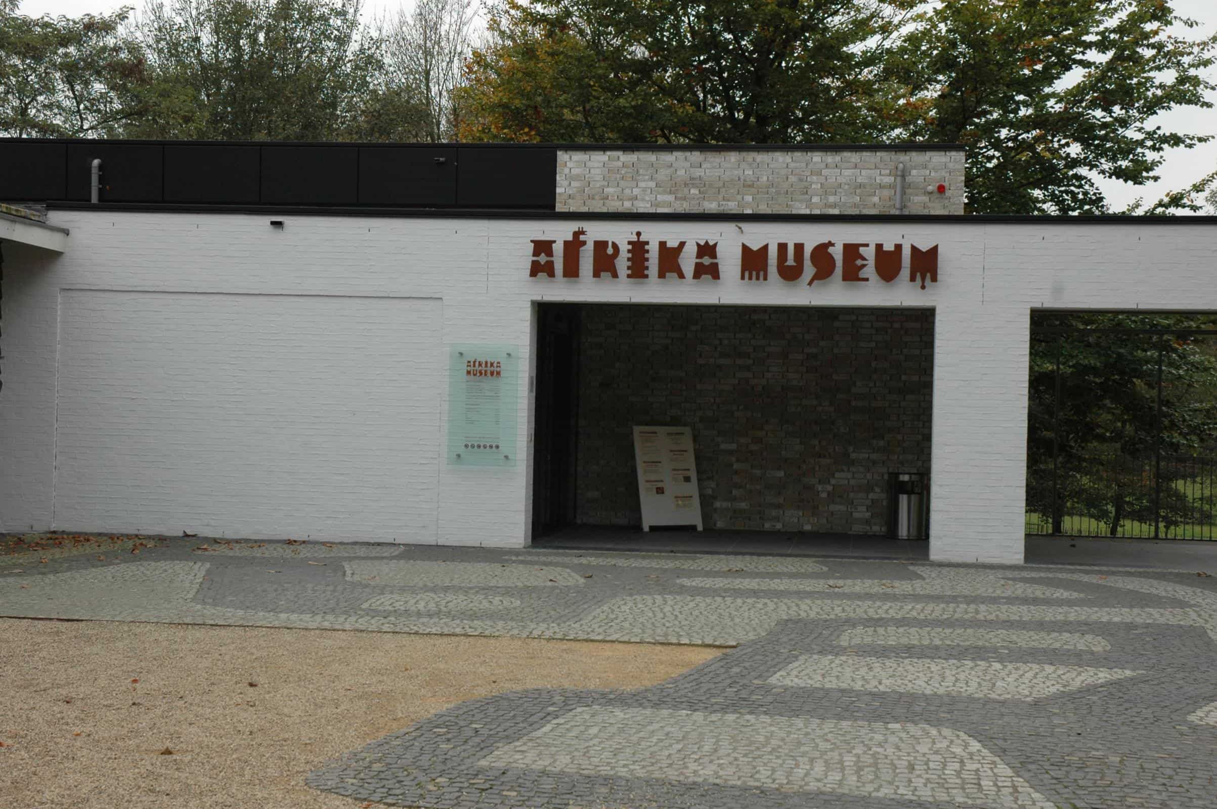 Black activists take Congolese statue from Dutch museum