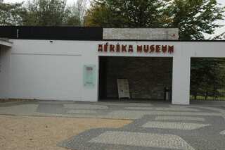 Black activists take Congolese statue from Dutch museum