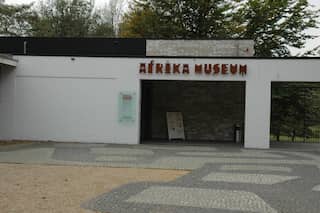 Black activists take Congolese statue from Dutch museum