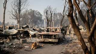 Oregon wildfires are not intentional, no role of 'extremists': FBI