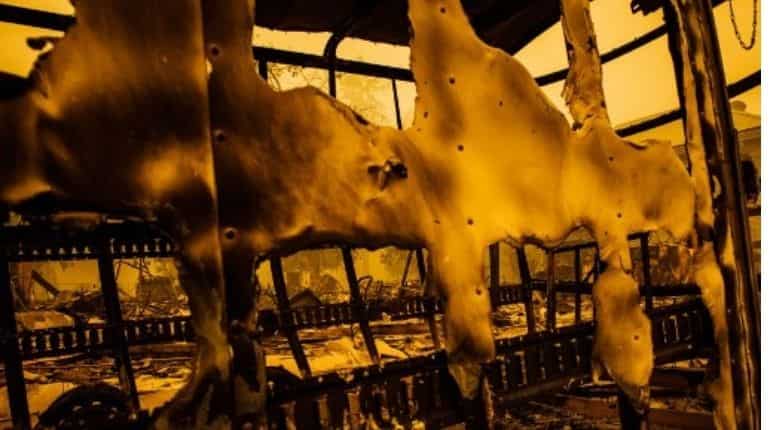 Warning towards climate change