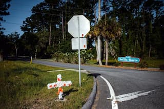 Over 15 families buy land in Georgia to create a city safe for Black people