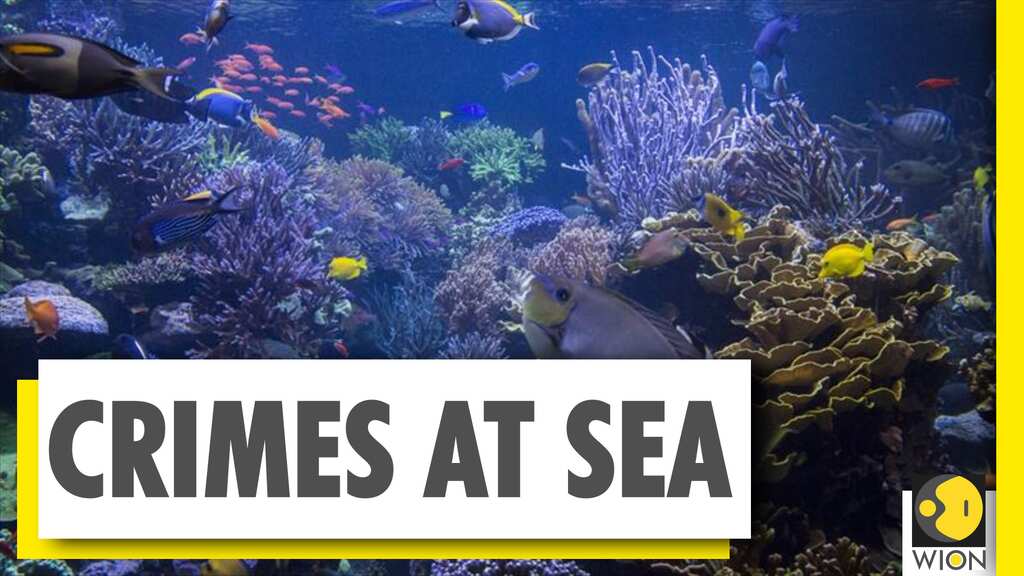 Wion Wideangle: Crimes at Sea