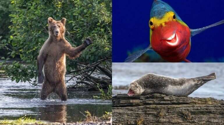 World Wildlife Day 2021: History, theme and importance - all you need to know World Wildlife Day 2021: History, theme and importance - all you need to know