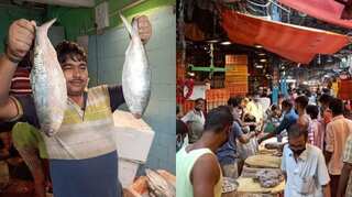 Bangladesh to export 1,450 tonnes of Padma hilsa to India as Durga Puja gift