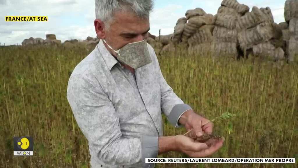 Hemp: the solution to face masks pollution?