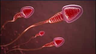 Sperm count decreasing worldwide due to increased exposure to pesticides: Study