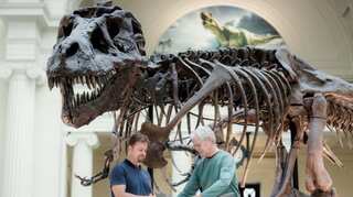 T-rex skeleton could fetch record price at New York auction