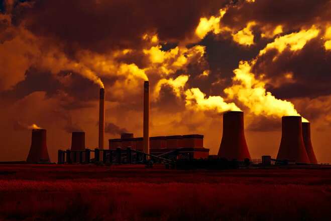 UN report: World missed a critical deadline to safeguard biodiversity