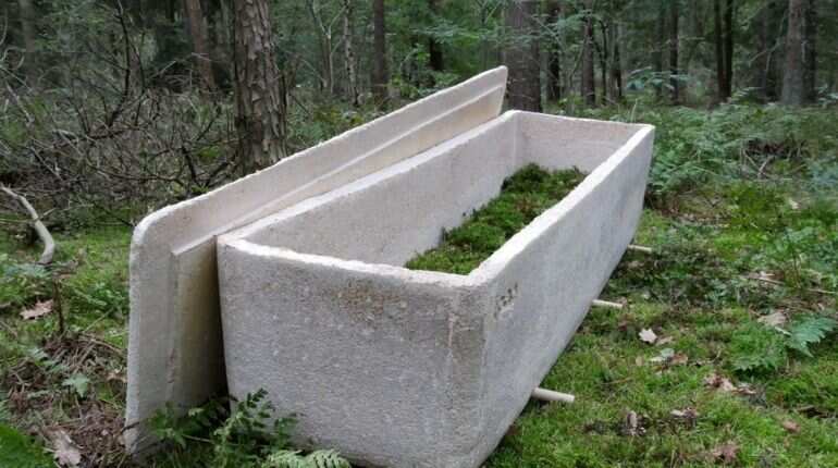 Netherlands: World's first funeral organised using 'living coffin' made of mushrooms