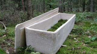 Netherlands: World's first funeral organised using 'living coffin' made of mushrooms