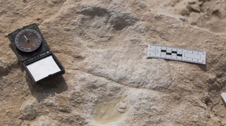 Human footprints 120,000-years-old found in Saudi Arabia Human footprints 120,000-years-old found in Saudi Arabia