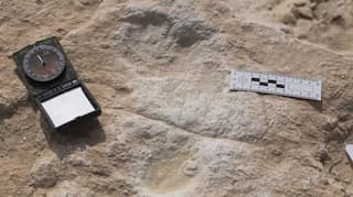 Human footprints 120,000-years-old found in Saudi Arabia