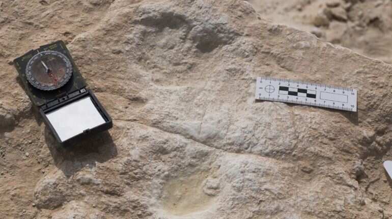 Human footprints 120,000-years-old found in Saudi Arabia