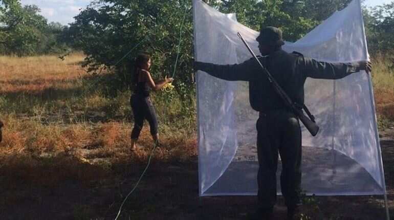 Human activities increase disease-spreading mosquitoes: Study