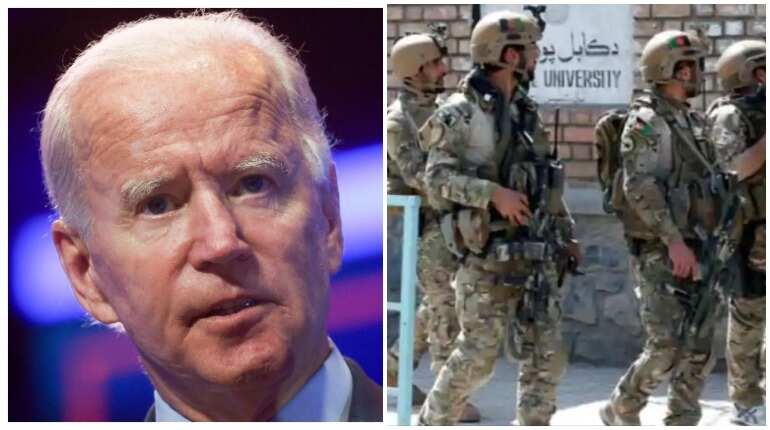 Top 10 world news: FBI accuses Russia over interference in US elections, US to ban TikTok and more!