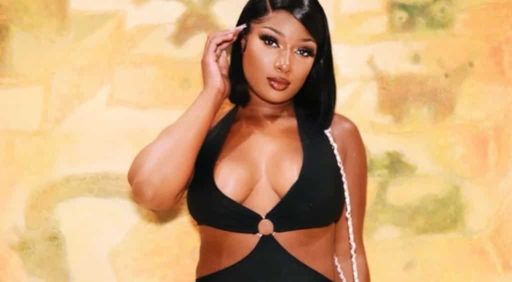 Megan Thee Stallion flashes unique rings worth $200K