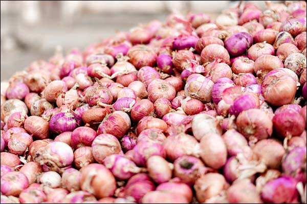 India permits export of 25,000 tonnes of onions to Bangladesh