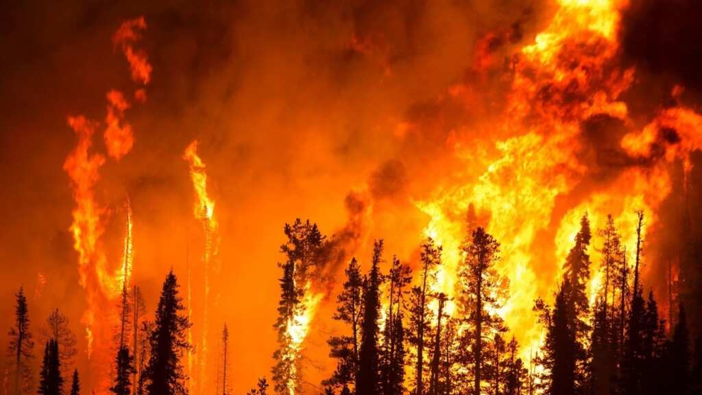 Bolsonaro lauds himself for 'preserving environment' amid wildfires continues across Brazil