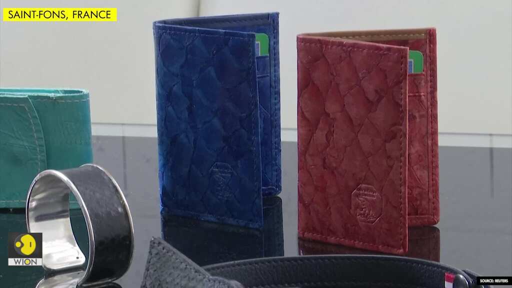 Trashcan to catwalk: fish skin bids for luxury market