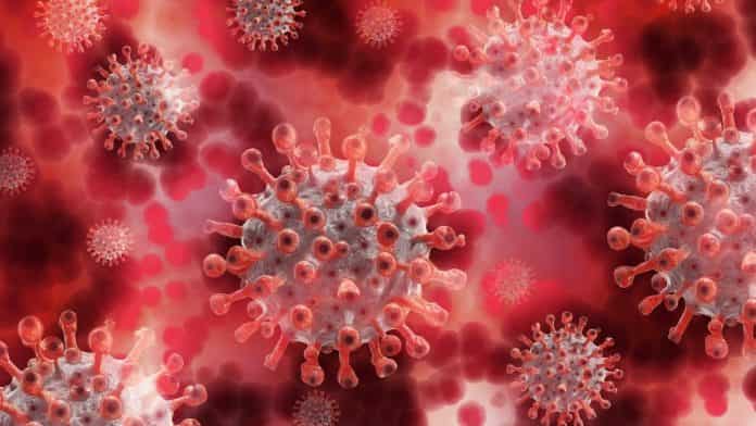 More contagious strain of the Coronavirus now dominates recent samples: Houston Study