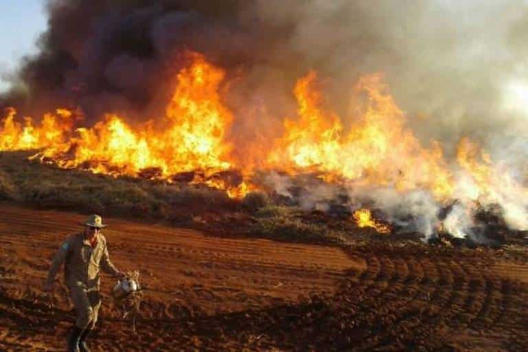Brazil: President Jair Bolsonaro deflects blame for Pantanal fires