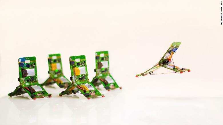 Insect-inspired robots are almost here. They can jump and fly Insect-inspired robots are almost here. They can jump and fly
