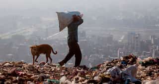 Rescuers dig through Indian trash dump for 12-year-old 'rag picker'