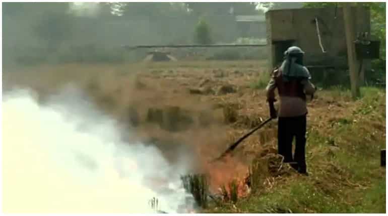 Delhi loses cleaner lockdown air as farmers burn crop waste Delhi loses cleaner lockdown air as farmers burn crop waste