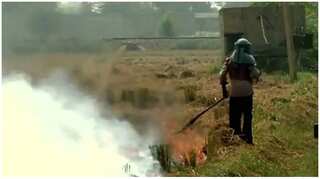 Delhi loses cleaner lockdown air as farmers burn crop waste