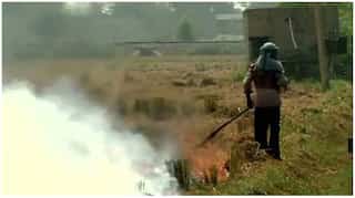 Delhi loses cleaner lockdown air as farmers burn crop waste