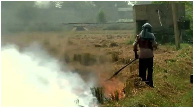 Delhi loses cleaner lockdown air as farmers burn crop waste