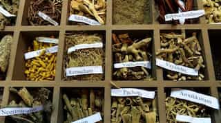 India: Ayurvedic trials treating coronavirus show groundbreaking results