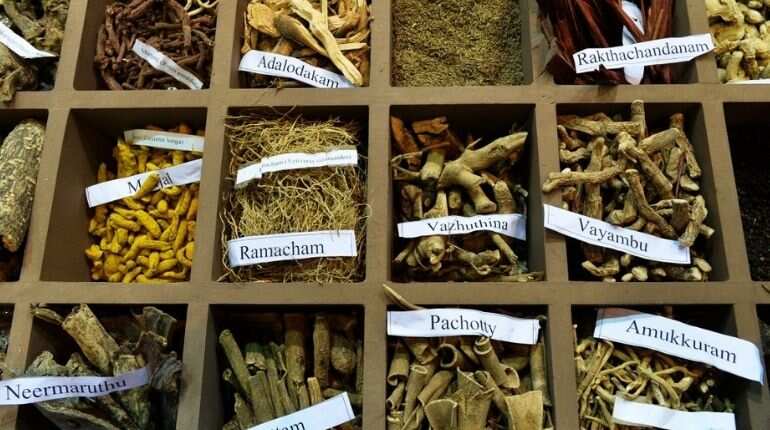 India: Ayurvedic trials treating coronavirus show groundbreaking results