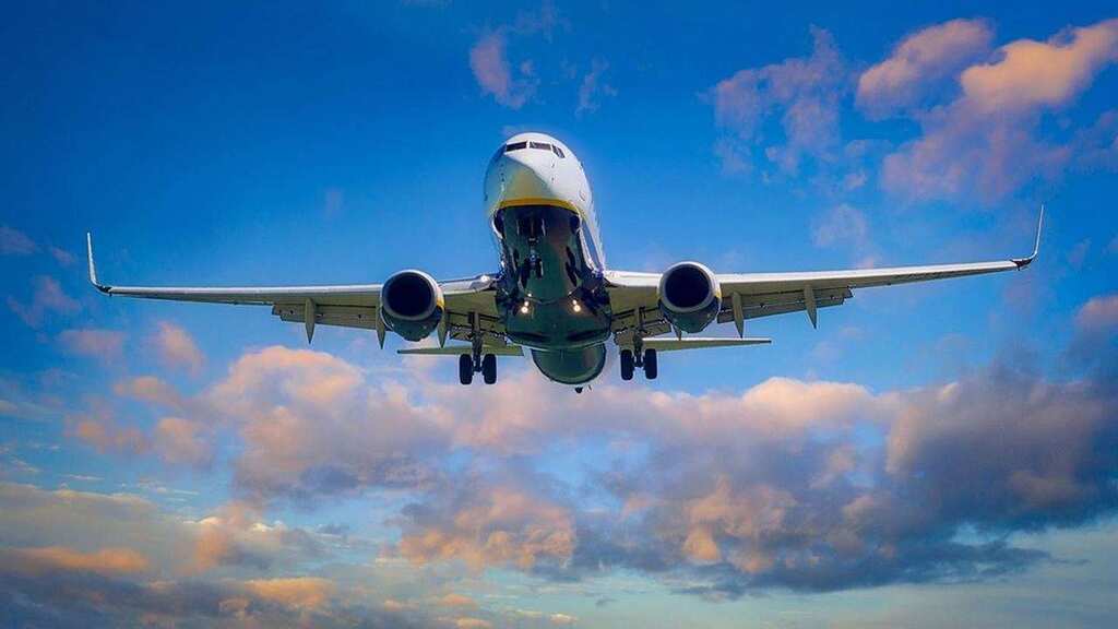 Tourism industry finds new ways to survive amid pandemic
