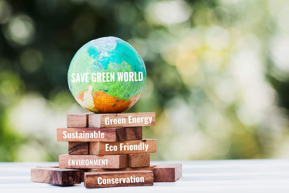 Plants and fungi underpin life on earth | Urgent conservation is need of the hour