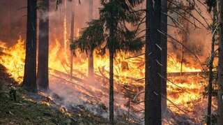 Study finds humans, climate change largely responsible for fires in US