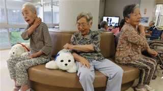 In isolating times, can robo-pets provide comfort?