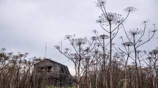 A toxic alien is taking over Russia