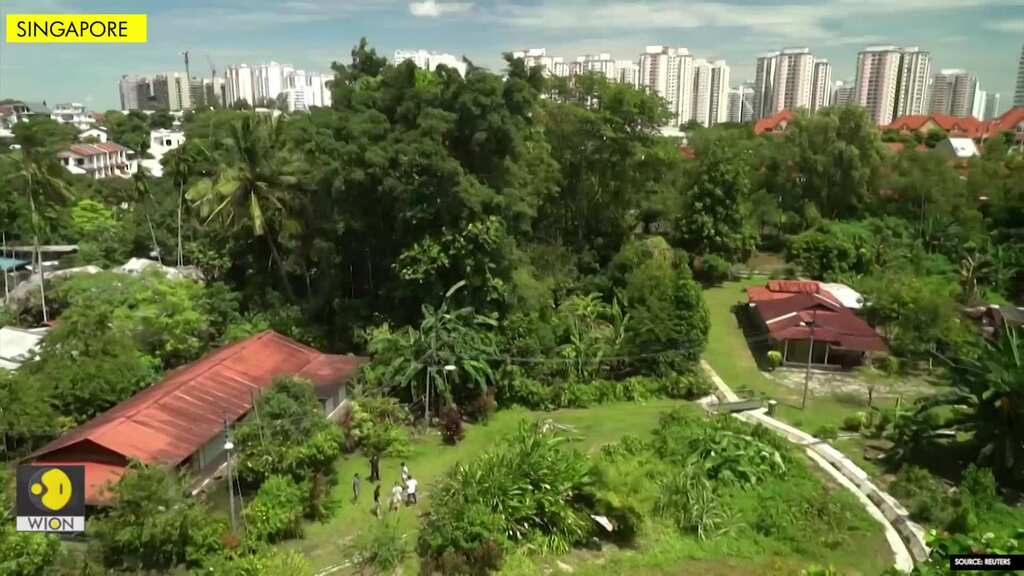 Singapore's last village becomes local tourism hotspot