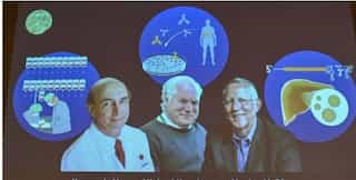 US-British scientists win Nobel Prize in medicine for Hepatitis C virus discovery