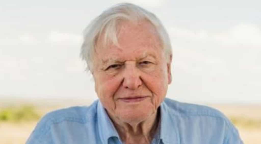 David Attenborough to join a massive archaeological dig in Asia for a new natural history series