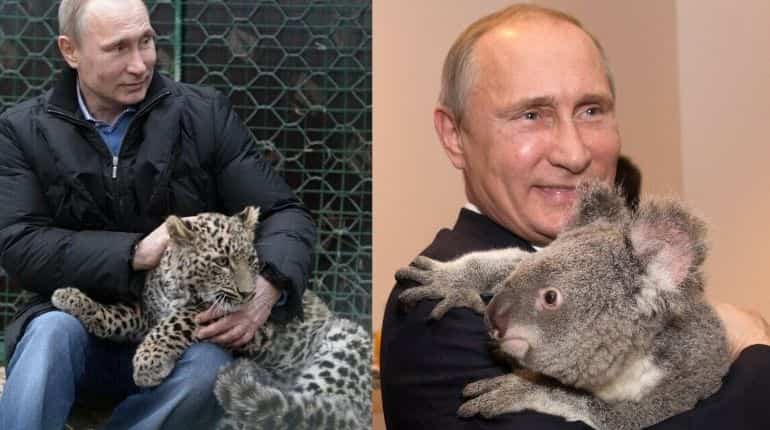 Animal lover