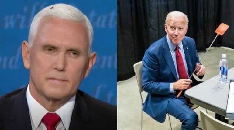 Internet goes berserk after errant housefly on Pence's head photobombs VP debate Internet goes berserk after errant housefly on Pence's head photobombs VP debate