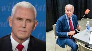 Internet goes berserk after errant housefly on Pence's head photobombs VP debate