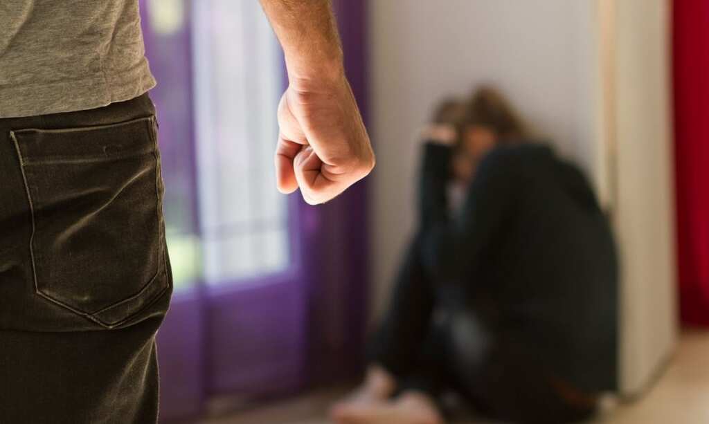 US: More than 500 domestic violence cases during lockdown involve firearms