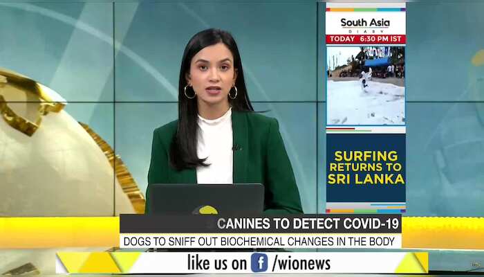 WionNews Video