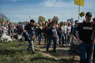 QAnon is thriving in Germany. The extreme right is delighted
