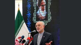 Iran's Atomic Energy Organization chief Ali Akbar Salehi tests positive for coronavirus